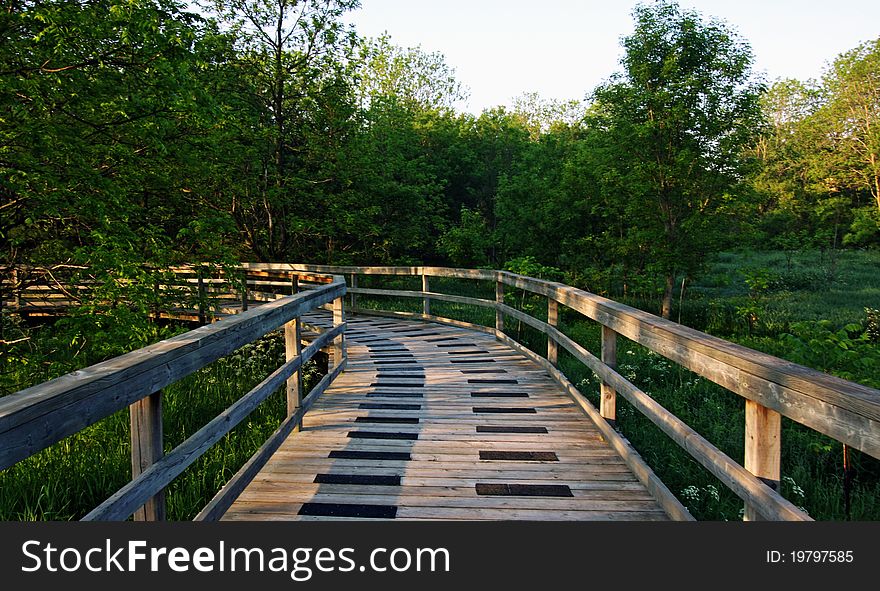 A path leading into an Ontario forest. A path leading into an Ontario forest