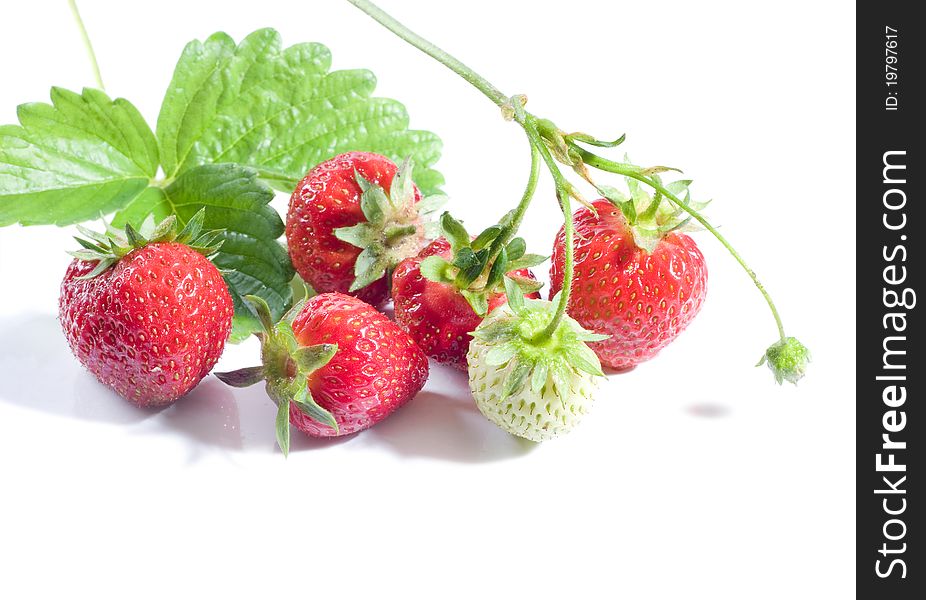 Bunch of ripe strawberries on a white background