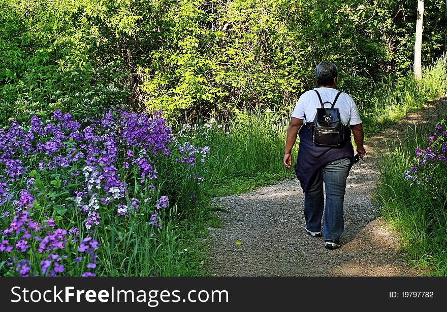 Hiker Walking Into Forest