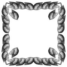 Framework From Leaves Syngonium (Square) Stock Image Framework From Leaves Syngonium (Square) Stock Image