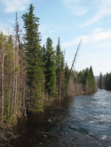One Of Siberian River Stock Photos One Of Siberian River Stock Photos