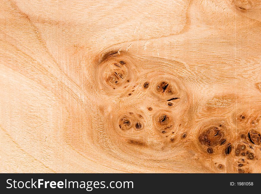 Texture of an elm root board, more textures in my archive. Texture of an elm root board, more textures in my archive