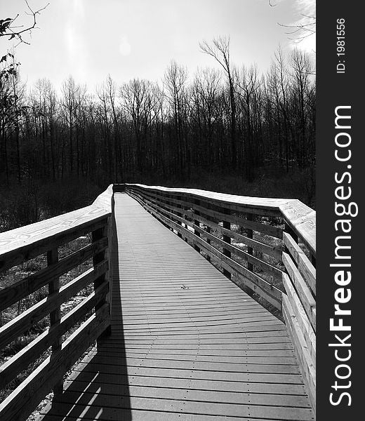 B/w walkway in national park