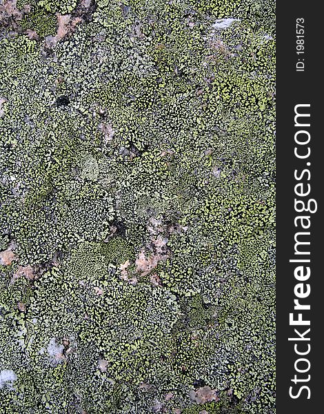 Texture Mossy Granite