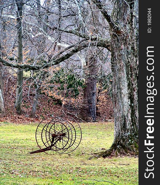 Old rusted wagon wheel near a tree. Old rusted wagon wheel near a tree