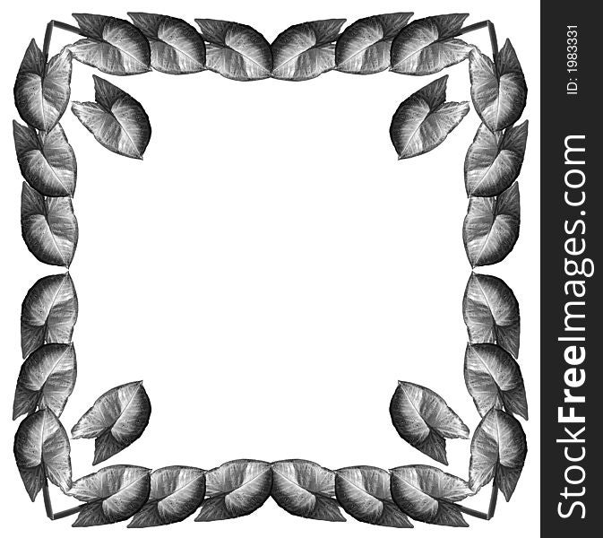 Framework From Leaves Syngonium (Square)