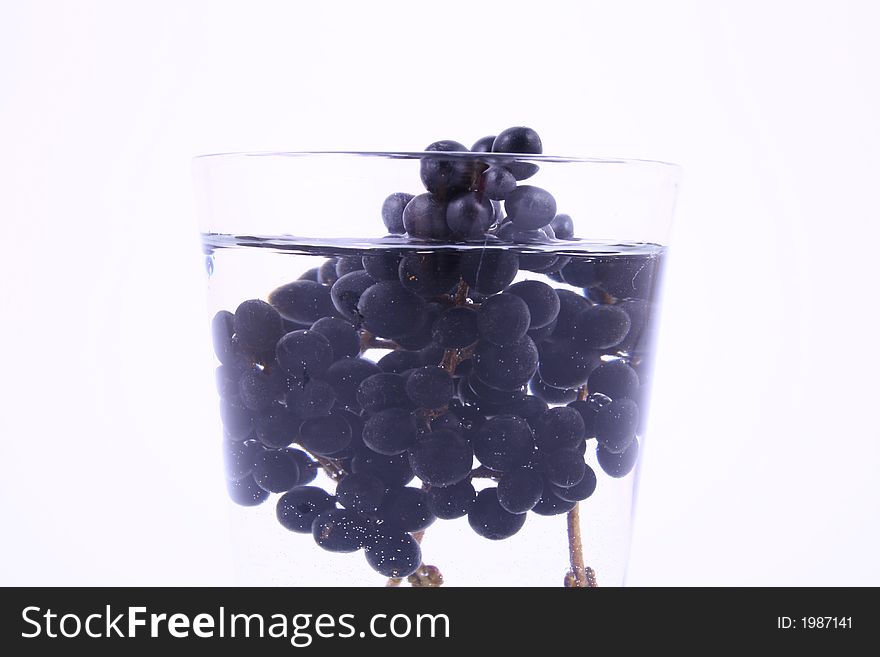 Branch of a black currant over white. Branch of a black currant over white