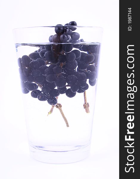 Branch of a black currant over white. Branch of a black currant over white