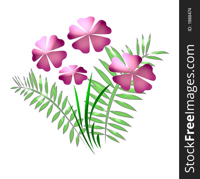Pink flowers and leaves on white background. Pink flowers and leaves on white background