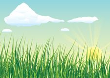Summer Landscape Stock Image Summer Landscape Stock Image