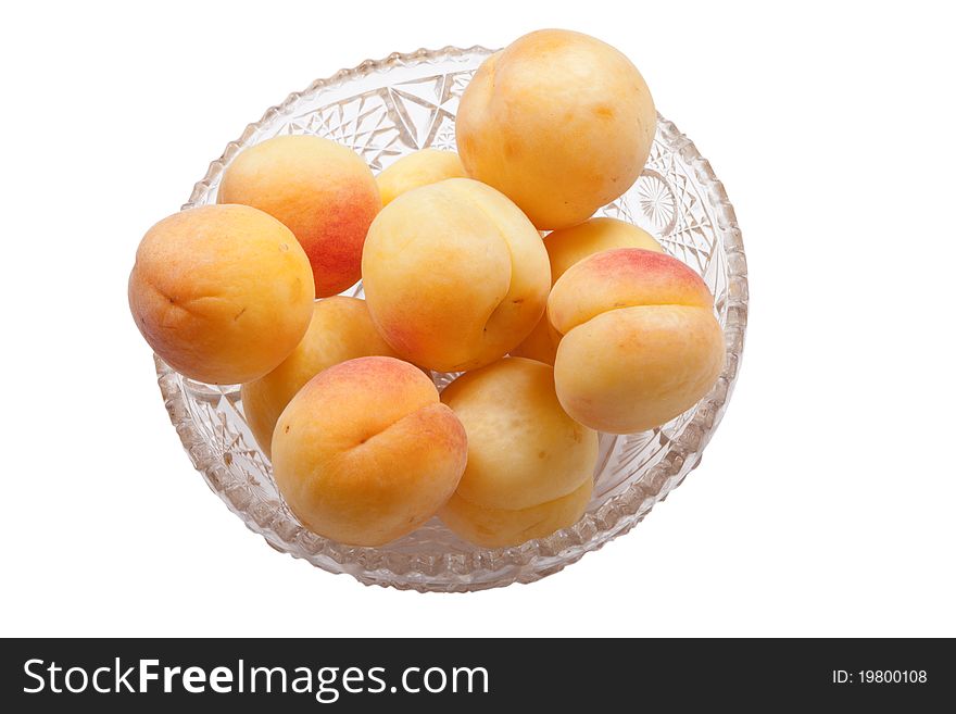 Orchard with apricots isolated on white background