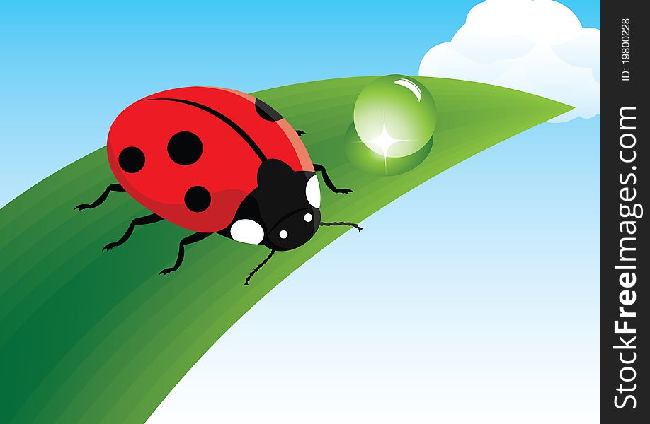 Red ladybug sits on a leaf