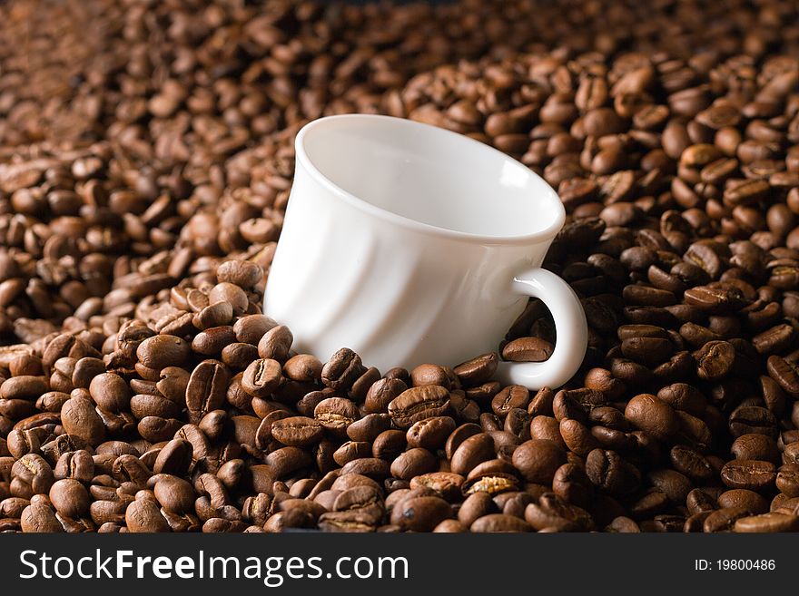 Empty coffee cup in beans