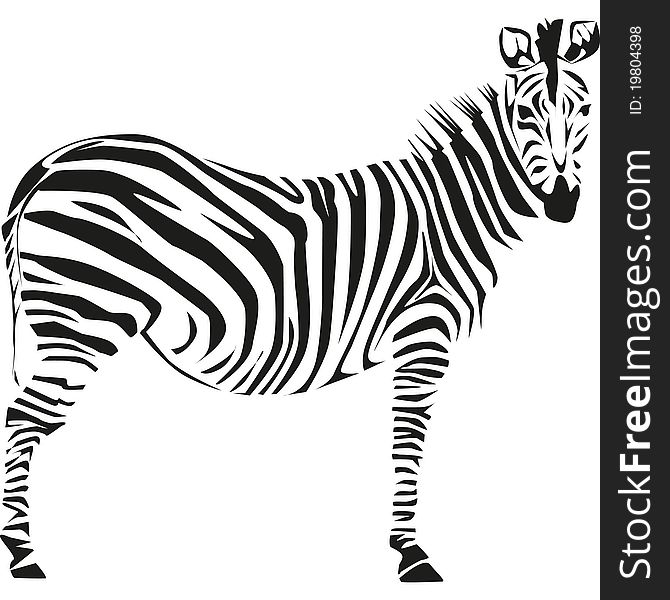 Drawing of a zebra on the African savannah