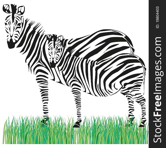 Drawing of a zebra on the African savannah