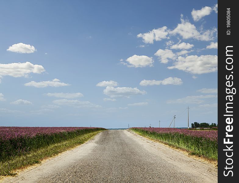 Country road among fields on a background of clear sky