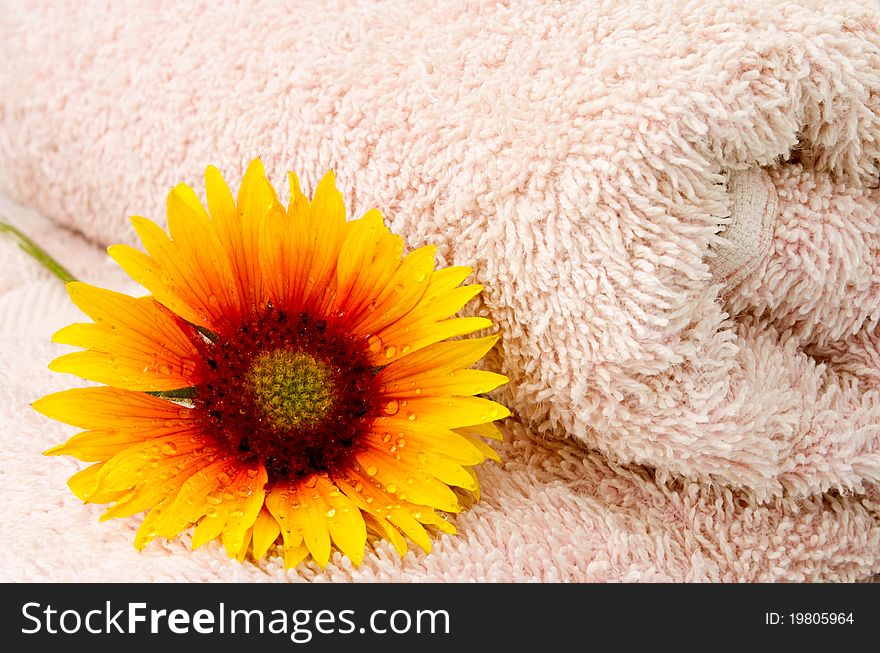 Towel and flower