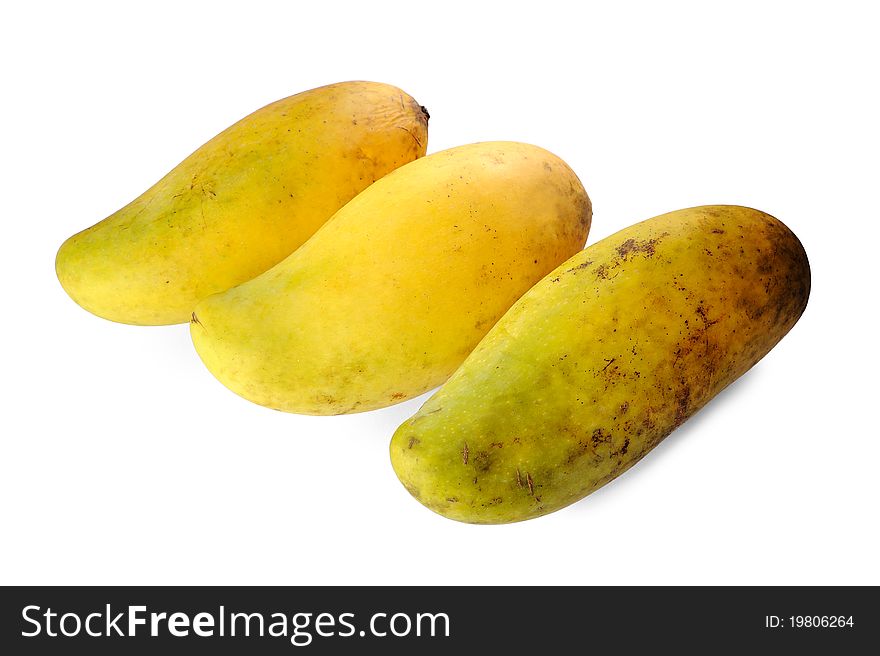 Three Mangoes isolated on a white background.