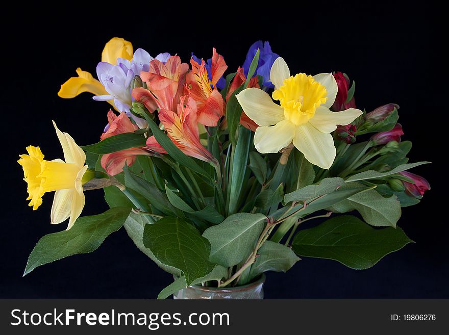 Bunch of spring flowers in black background