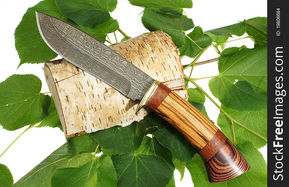 The hunting knife on green leaves