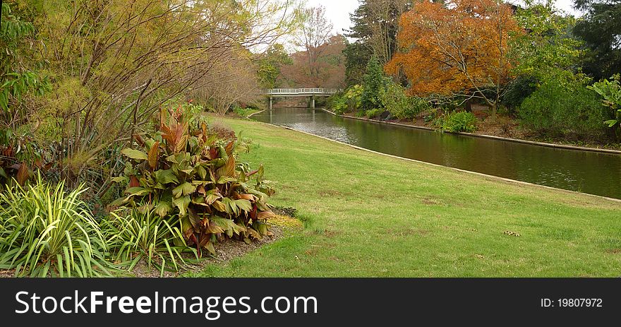 A bridge at the Norfolk Botanical Gardens. A bridge at the Norfolk Botanical Gardens.
