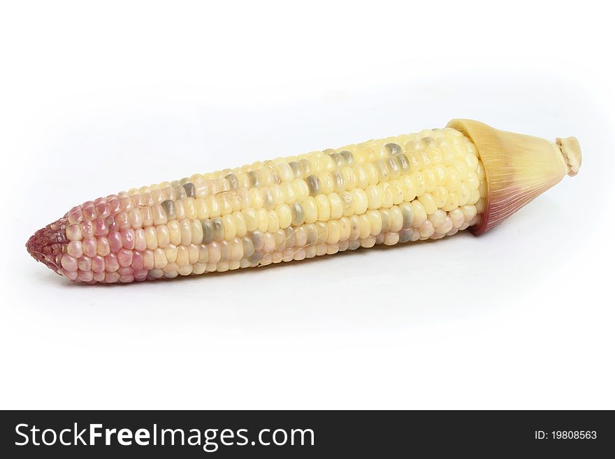 Boiled corn isolated on a white background.