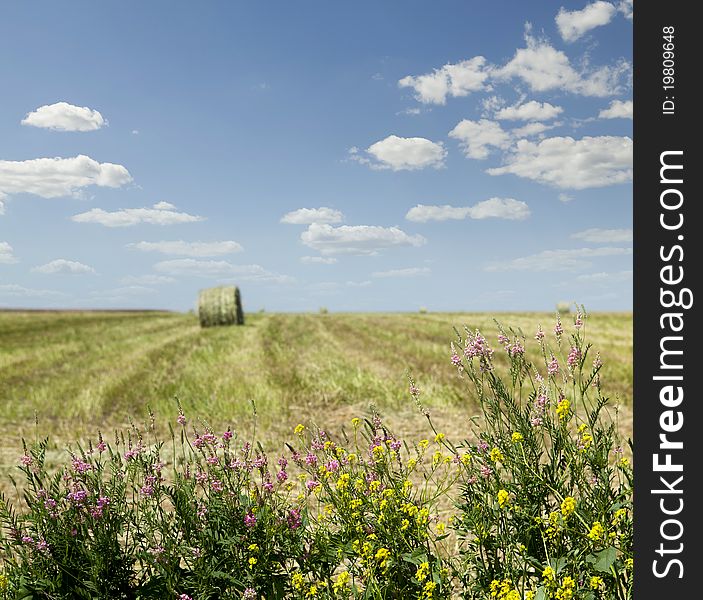 Haystack in the field against the sky. Haystack in the field against the sky