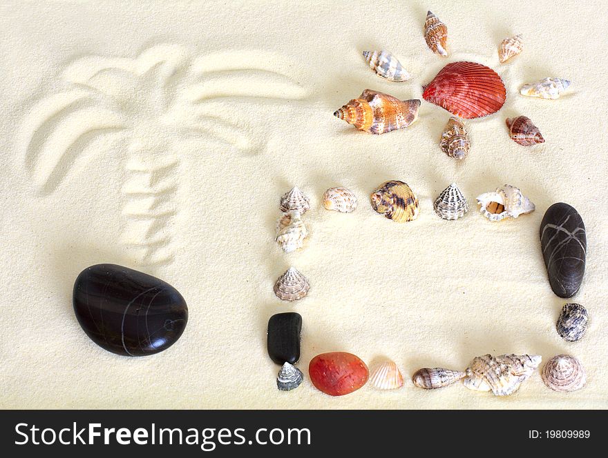 Frame of shells in sand
