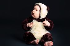 Panda Royalty Free Stock Images Panda Royalty Free Stock Images