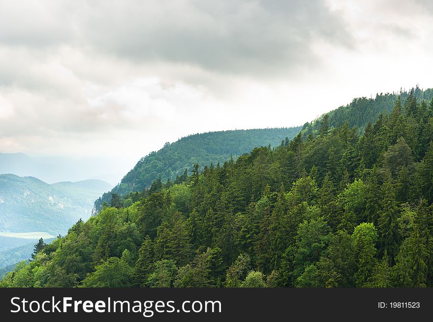 Misty mountain with forest on slopes