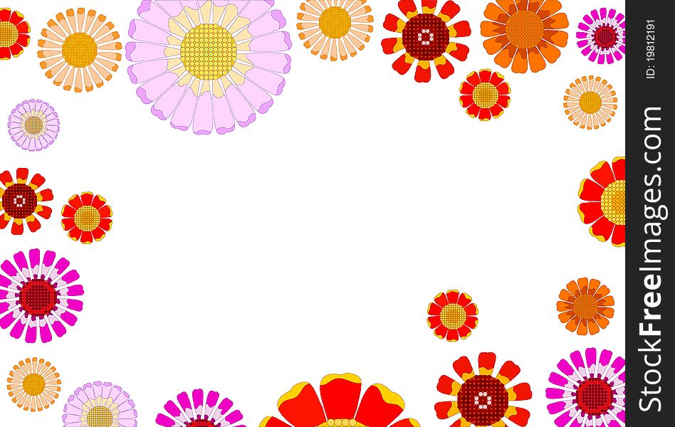 Vector daisy of different colors on a white background. Vector daisy of different colors on a white background
