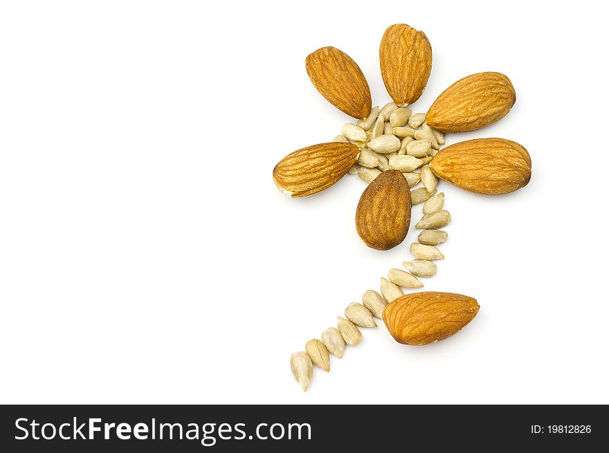Flower with seeds isolated on white background. Flower with seeds isolated on white background