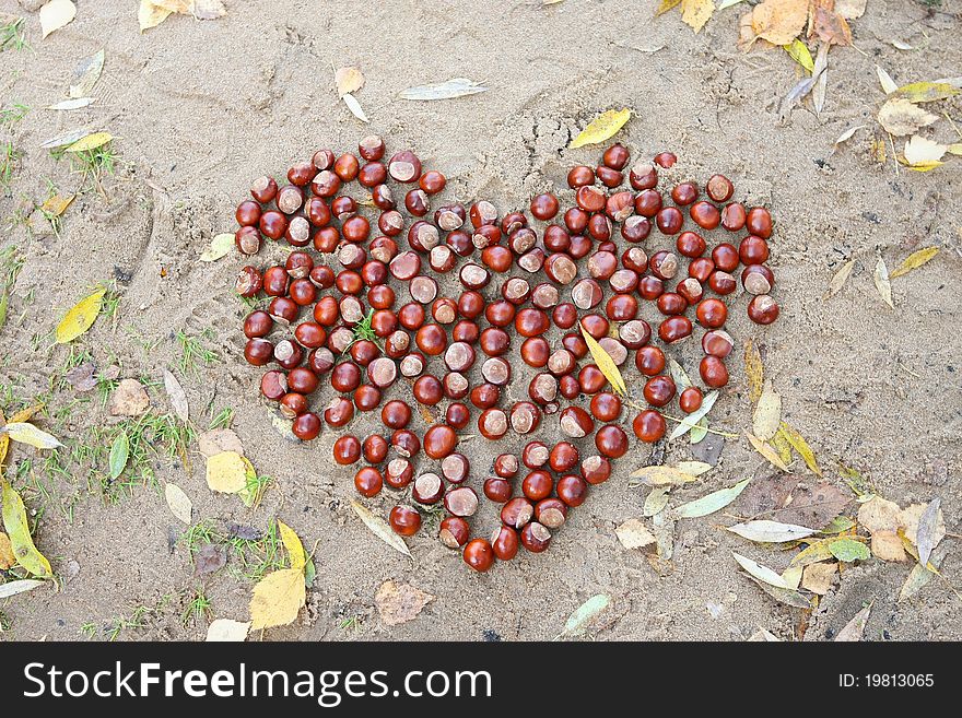 Chestnut heart on the sand with yellow leafes