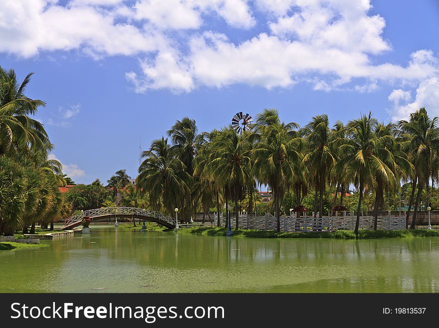Islet with palms and foot-bridge in Hesone park. Islet with palms and foot-bridge in Hesone park