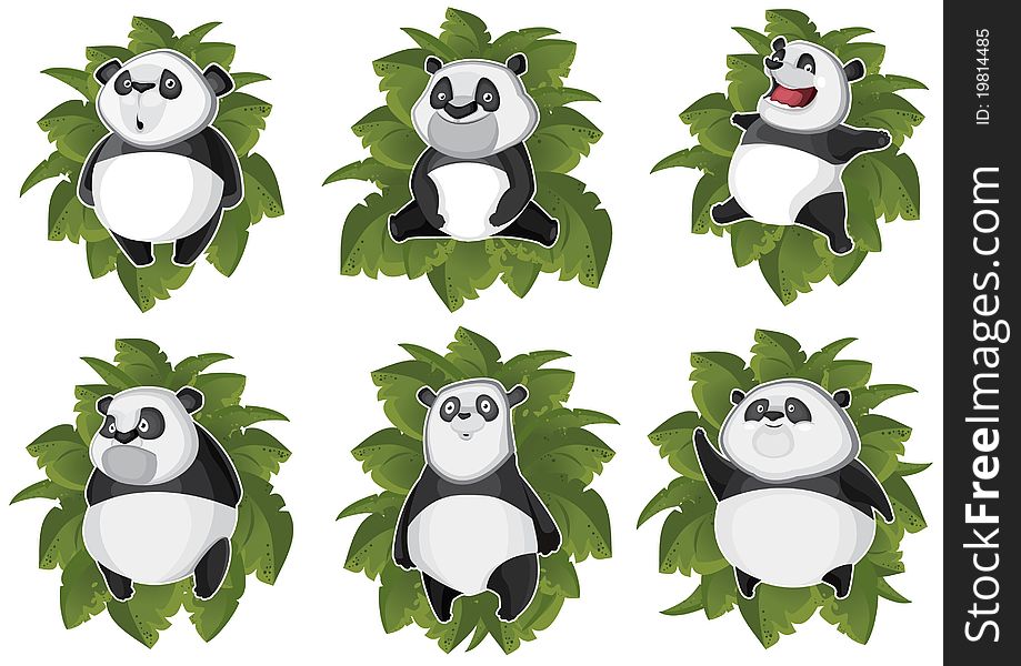 Pandas isolated in the leaves