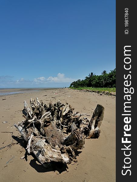 Most of the remaining trees due to erosion / abrasion that often occur around the coast. Abrasion is the process of coastal erosion by sea waves and ocean currents that are destructive. Abrasion is usually referred to coastal erosion. Shoreline damage due to abrasion is driven by the disruption of the natural balance of the coastal area. Although the abrasion could be caused by natural phenomena, but the man often referred to as the main cause abrasion. One way to prevent abrasion is by planting mangrove forest. Most of the remaining trees due to erosion / abrasion that often occur around the coast. Abrasion is the process of coastal erosion by sea waves and ocean currents that are destructive. Abrasion is usually referred to coastal erosion. Shoreline damage due to abrasion is driven by the disruption of the natural balance of the coastal area. Although the abrasion could be caused by natural phenomena, but the man often referred to as the main cause abrasion. One way to prevent abrasion is by planting mangrove forest.