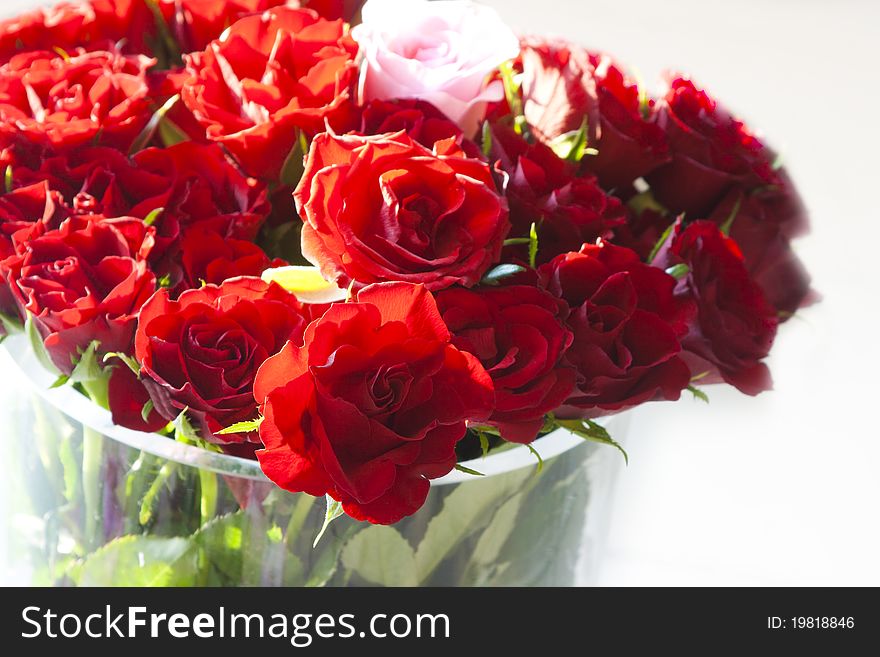 Red roses in a big vase