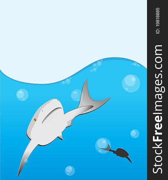 Hunting shark under water blue background