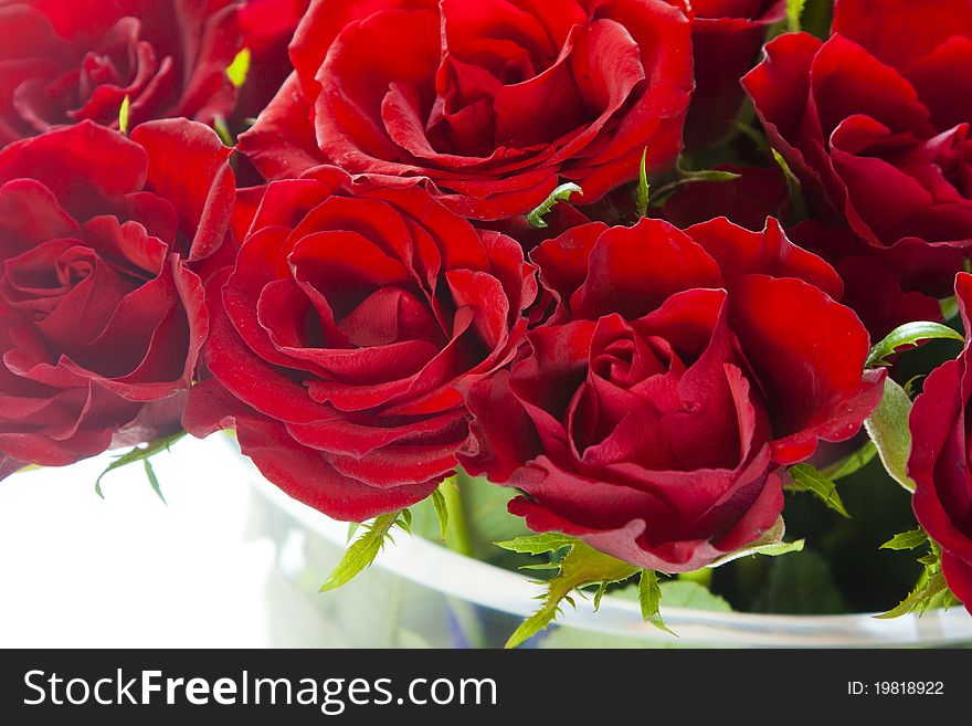 Red roses in a big vase