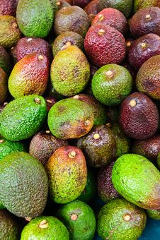 Avocados Royalty Free Stock Photo Avocados Royalty Free Stock Photo
