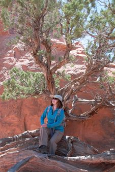 Woman Hiker Resting Under A Tree Stock Images Woman Hiker Resting Under A Tree Stock Images