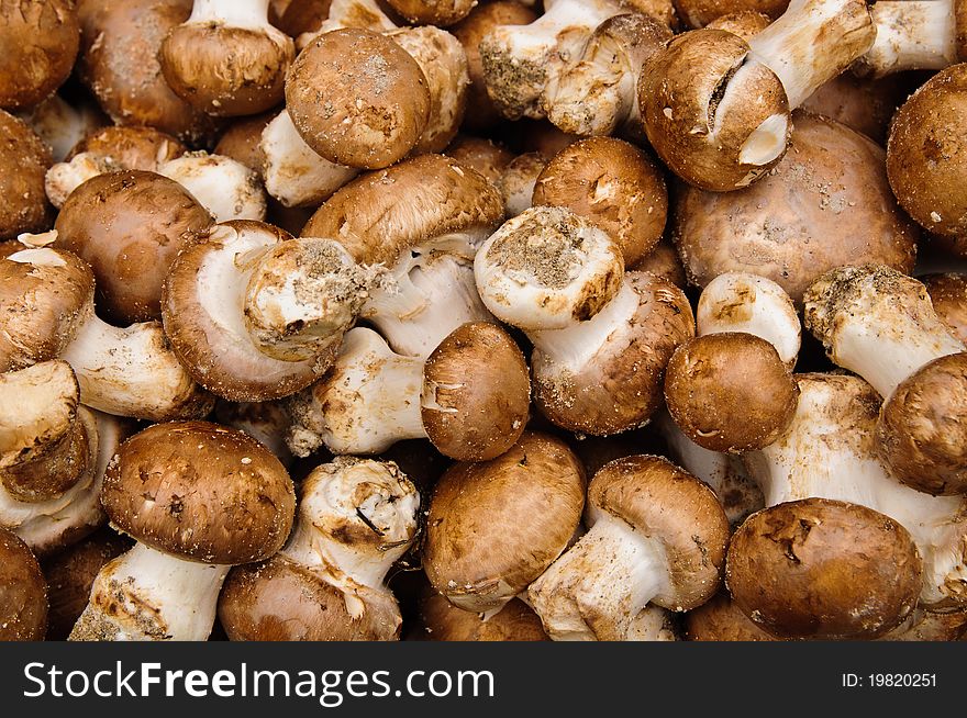 Pile of fresh wild mushrooms in a market stand. Pile of fresh wild mushrooms in a market stand