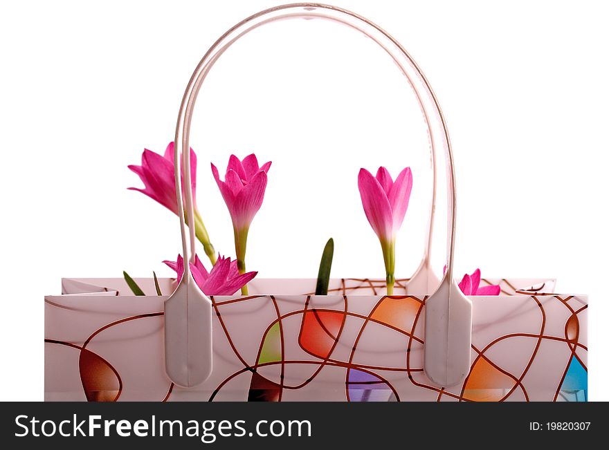 Flowers In A Bag