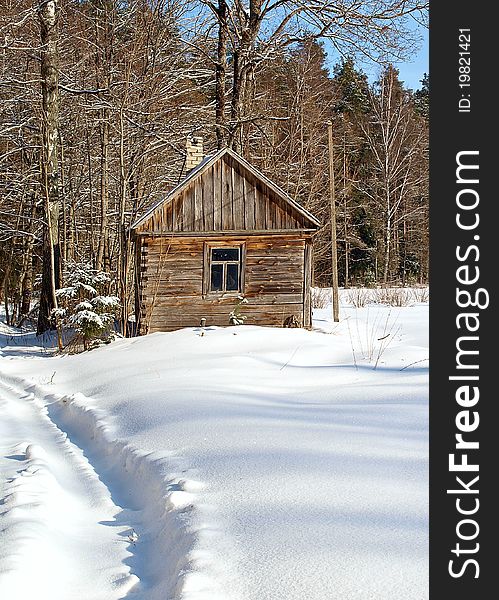 Wooden house in winter in a forest scenery, Lithuania
