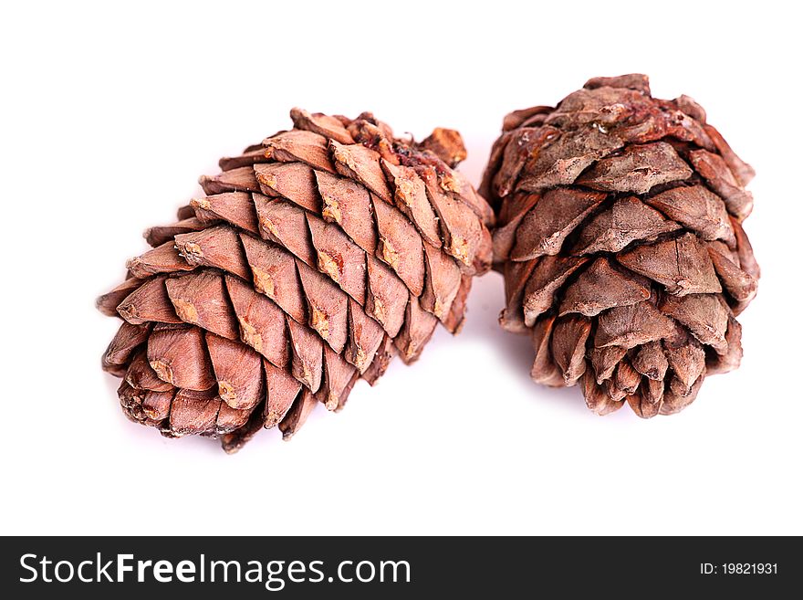 Two pine cones isolatedon a white background