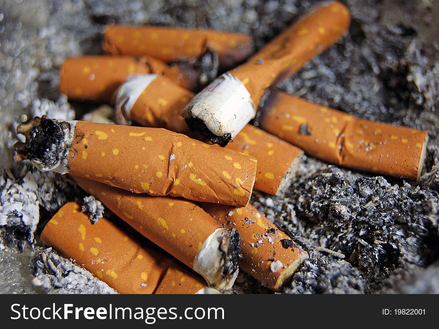 Some cigarettes in the ashtray. Some cigarettes in the ashtray