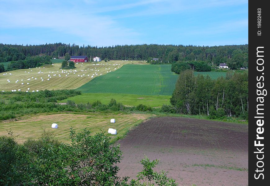 The Countryside of Norway on a Summer Day. The Countryside of Norway on a Summer Day