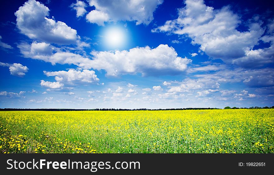 Wonderful rapefield and cloudscape with sunbeams. Wonderful rapefield and cloudscape with sunbeams.