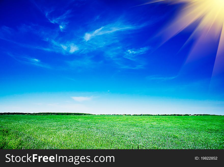 Splendid Green Field And The Blue Sky With Clouds.