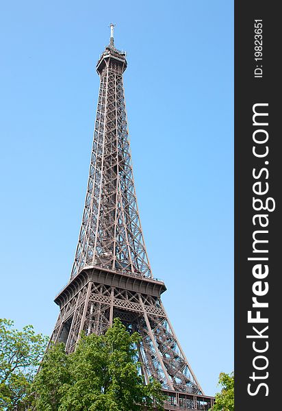 Perspective of the Eiffel tower with trees